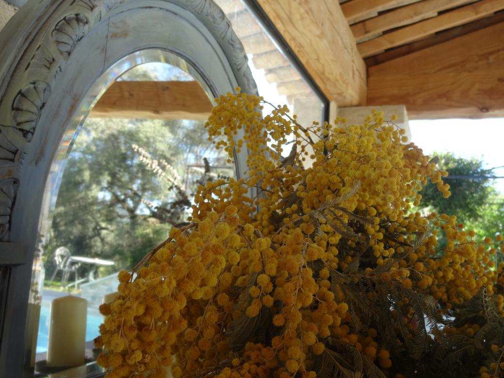 Les 4 Elements Bed & Breakfast Tourrettes-sur-Loup Eksteriør bilde