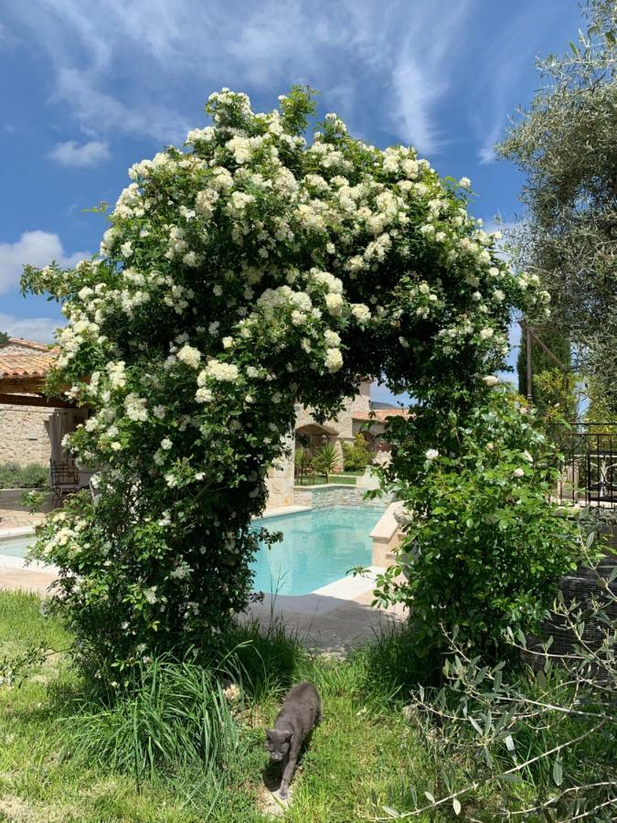 Les 4 Elements Bed & Breakfast Tourrettes-sur-Loup Eksteriør bilde